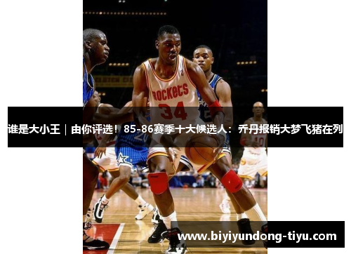 谁是大小王｜由你评选！85-86赛季十大候选人：乔丹报销大梦飞猪在列